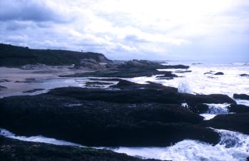 Natürliches Laichgewässer - hier die Atlantikküste vor Ghana. Während der Ebbe lassen sich die Einsiedler sehr gut beobachten.