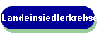 Landeinsiedlerkrebse