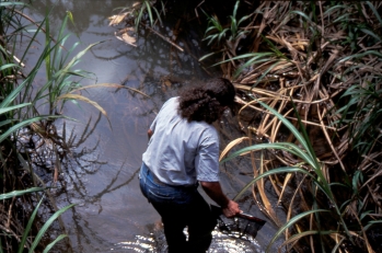 Der Autor beim Fischfang im Birim-River (Ghana).