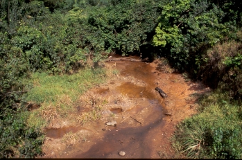 Fundort von Aplocheilichthys spilauchen (Ghana).