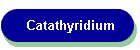 Catathyridium