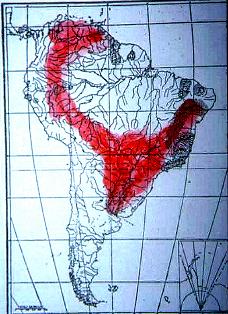 Verbreitung der Gattung Salminus in Südamerika