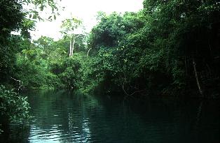 Rio da Prata, Mato Grosso do Sul, Brasilien - Lebensraum des "Dourado" Salminus brasiliensis