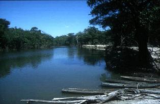  Rio Parguaza, Estado Bolivar, Venezuela - Lebensraum von Salminus hilarii