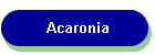 Acaronia