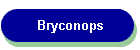 Bryconops