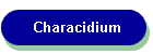 Characidium