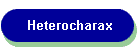 Heterocharax