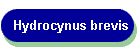 Hydrocynus brevis