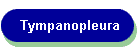 Tympanopleura