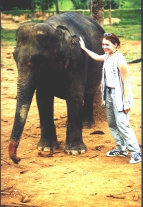 Ein Elefant zum Knutschen.