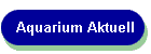 Aquarium Aktuell