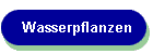 Wasserpflanzen