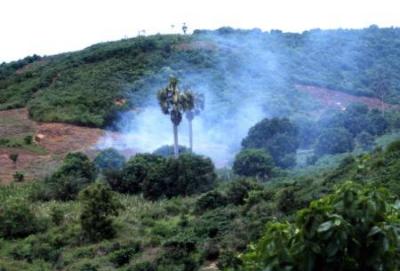 Brandrodung in den Küstenregenwäldern Ghanas - für die ansässigen Bauern eine Selbstverständlichkeit, für Umweltaktivisten eine Katastrophe!?